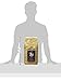 NUTRO MAX CAT Senior Dry Cat Food, Roasted Chicken, 6 lbs.
