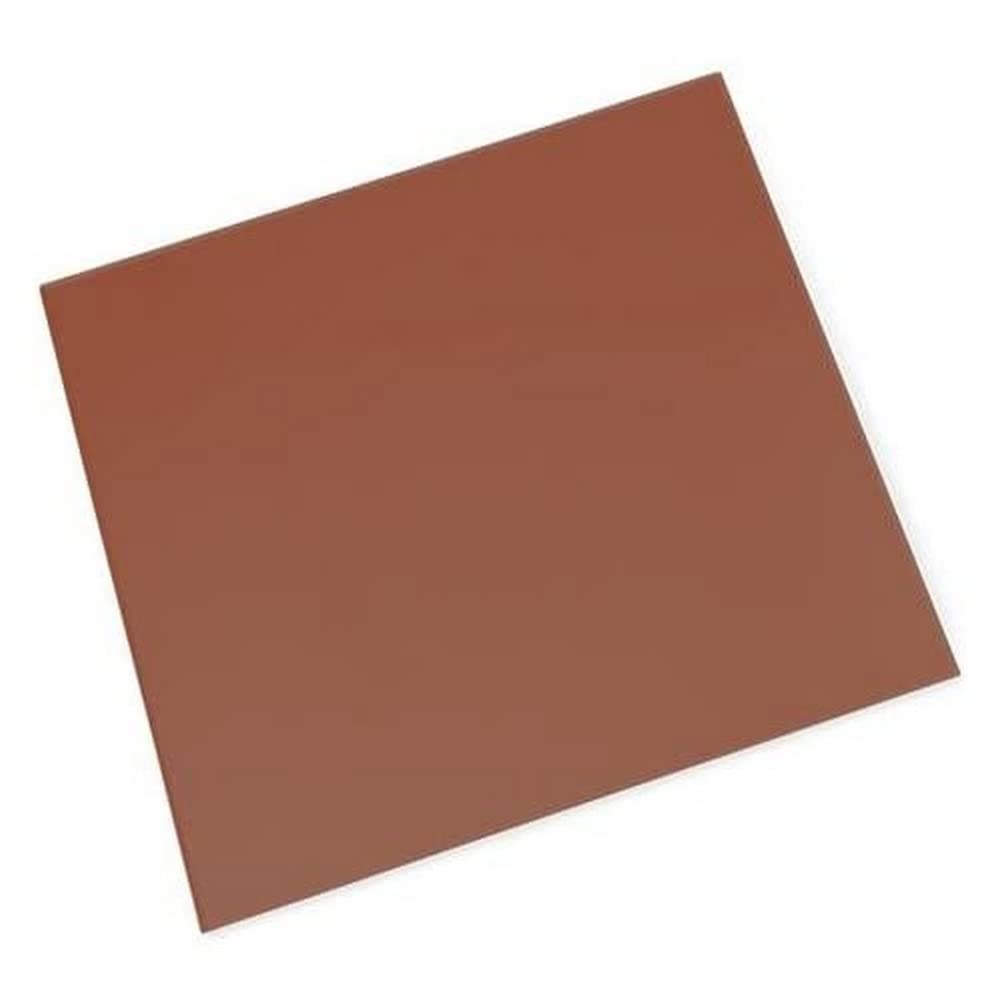3B Scientific U8492341 Cardboard Plate