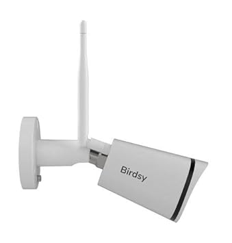 Buy Birdsy Cam Watch What Birds Visits Your Feeder Live Or On