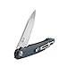GANZO Firebird Pocket Folding Knife FH21 D2 Steel Blade G10 Handle with Clip Fishing Hunting Camping Outdoor EDC Knife (Grey)