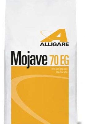 Mojave 70 EG-Compare to Sahara (5 lb.)