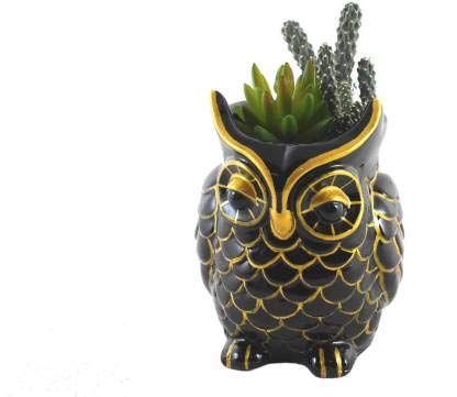 SpaceinCart Owl Face Black & Golden Decorative Home Decor Ivory Ceramic Planter Pot, for Indoor and Outdoor Plants