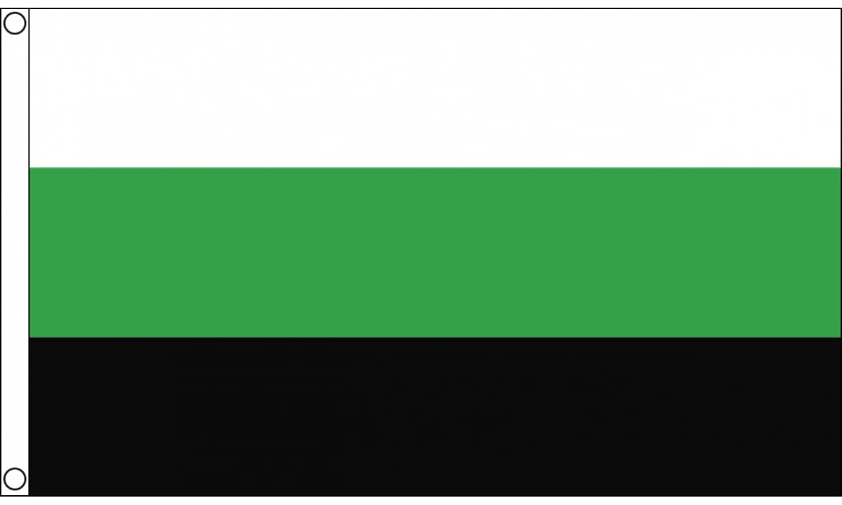 AZ FLAG - Neutrois Pride Flag - 3x5 Ft - 100D Polyester Lgbt Banner with Two Metal Grommets - Fade Resistant - Vivid Colors - 3' x 5' Feet - 150x90 Cm — image 1