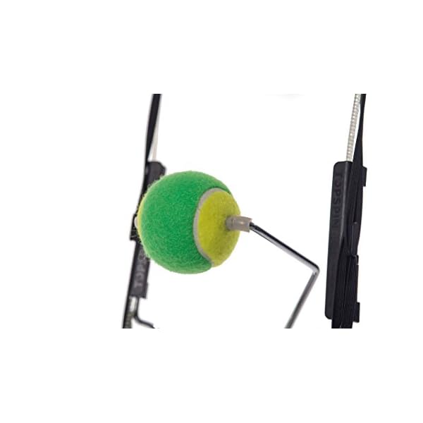 TopspinPro Tennis Training Aid, Learn Topspin in 2 Minutes a Day