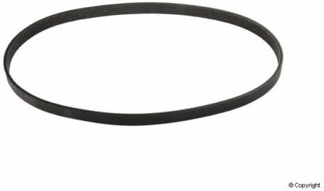Mitsuboshi 5PK875 Serpentine Belt