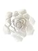 Paper Flower Template Kit Peony Small to Large Flowers