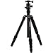 MeFOTO GlobeTrotter Classic 64.2