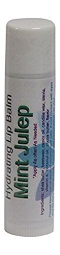 Best Formula Fun Flavored Lip Balm by Diva Stuff, Lots to Choose from and Super Soft Lips (Mint Julep)