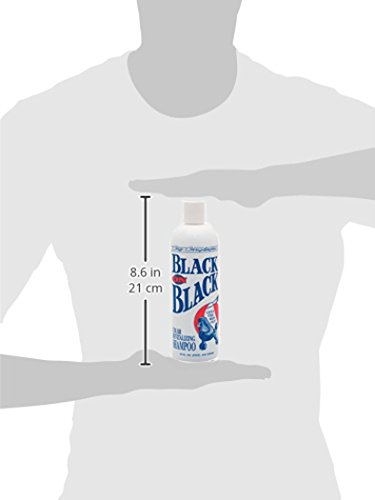 Chris Christensen Black on Black Shampoo, 16-ounce