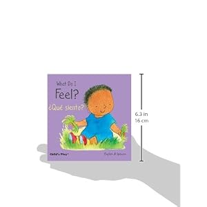 What Do I Feel? / Que Siento? (Small Senses Bilingual) (English and Spanish Edition)