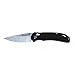 Ganzo G7531 Folding Pocket Knife 440C Stainless Steel Blade G10 Anti-Slip Handle with Clip Hunting Fishing Camping Folder Outdoor EDC Knife (Black)