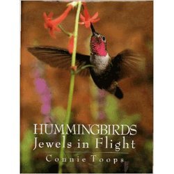 Hummingbirds: Jewels in Flight