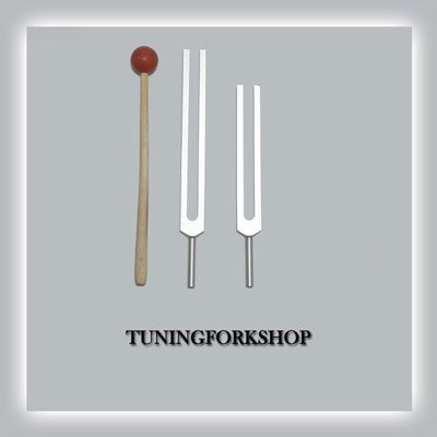 Tuningforkshop C & G Whole Body Tuning Fork Set With Mallet+Pouch+Fast