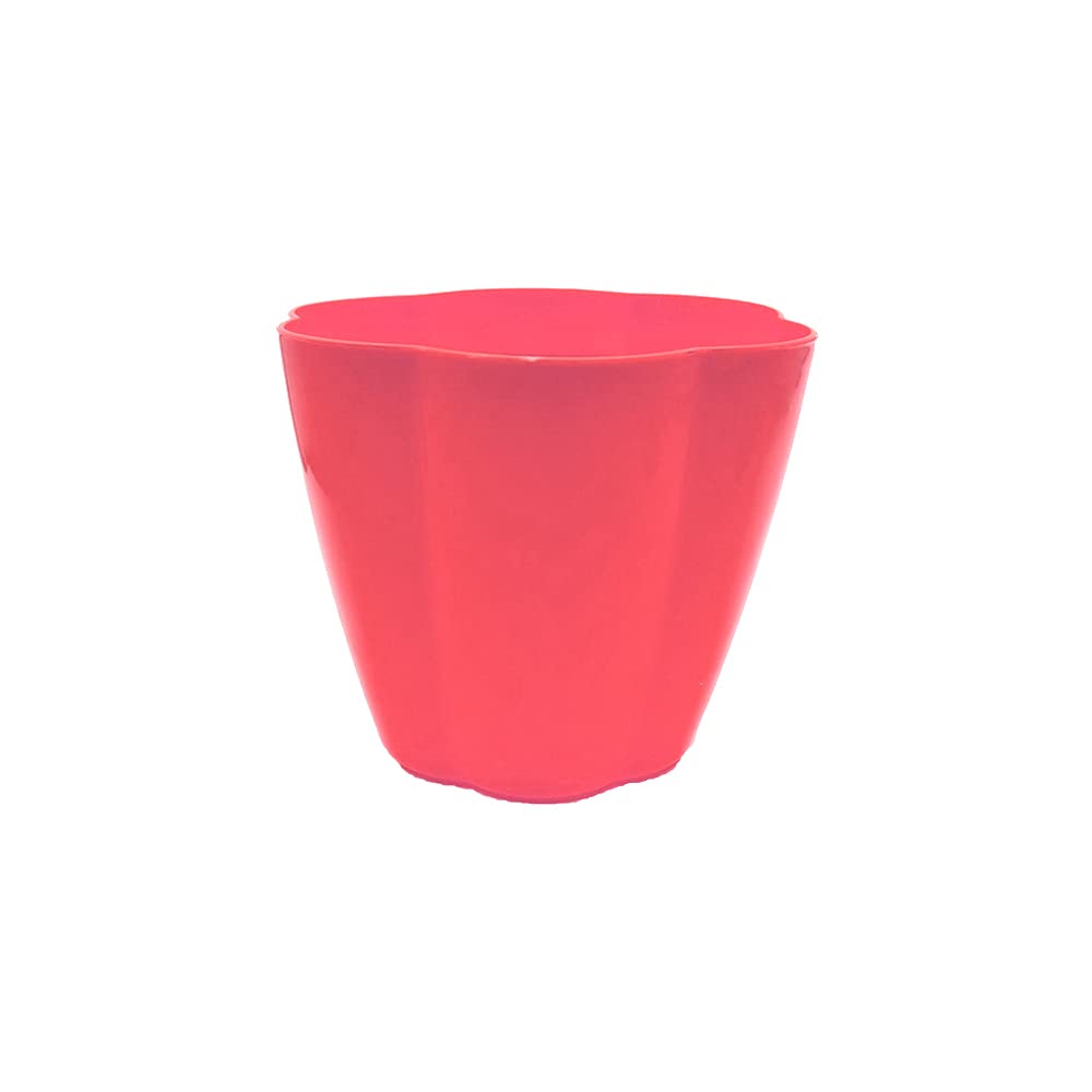 schone Petal Plant Pot - Perfect for Herbs, Flowers, Plants in Home, Kitchen, Window, Garden, Patio, Decking – LOOKS BEAUTIFUL IN YOUR GARDEN