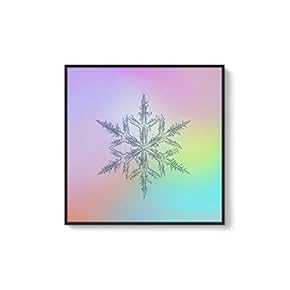 Framed Canvas Wall Art for Living Room, Bedroom Snowflake Theme Canvas Prints for Home Decoration Ready to Hang - 16x16 inches