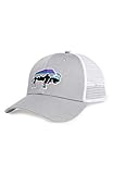 Patagonia Fitz Roy Bison Trucker Hat (Drifter Grey)