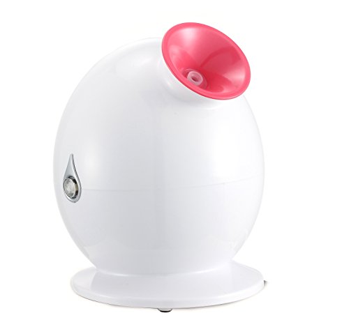Nano ionic facial skin steamer - home hot steam mist ma…