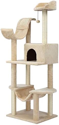 short hair fox terrier