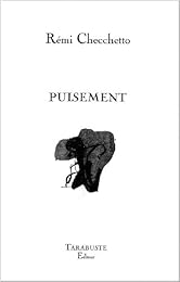 Puisement