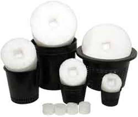 Sure To Grow Arroyo- 3.25"x2.75" Cylinder (1 pc.)