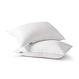 Fern and Willow Premium Loft Down Alternative Pillows for Sleeping (2-Pack) - Luxury Gel Plush Pillow - Hypoallergenic & Dust Mite Resistant (Queen)