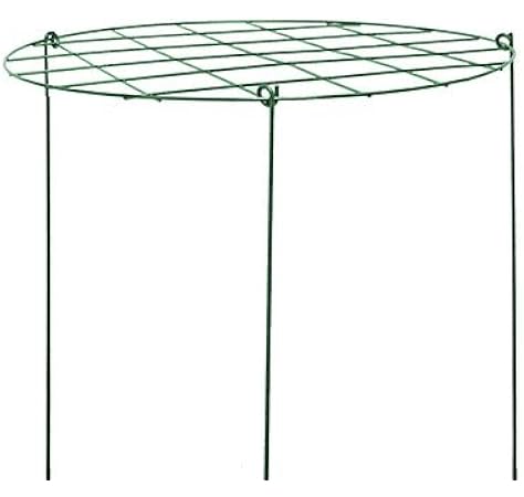 Amazon Com 20x14 Grow Thru Ring Garden Outdoor