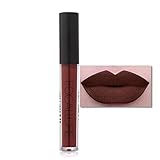 Binmer(TM) FOCALLURE New Fashion Lipstick Cosmetics Women Sexy Lips Matte Lip Gloss Party (C)