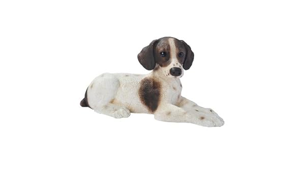 Amazoncom Hazel The White And Brown Pointer Dog Sculpture