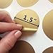 Gold Polka Dot Wall Decals - Girls Appliques Circle Décor Stickers - Gold Decals Polka Dot Stickers Nursery [207 Art Bedroom clings] with Free Bird Gift!