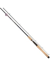 Tica wgha Bass & Walleye casting varillas