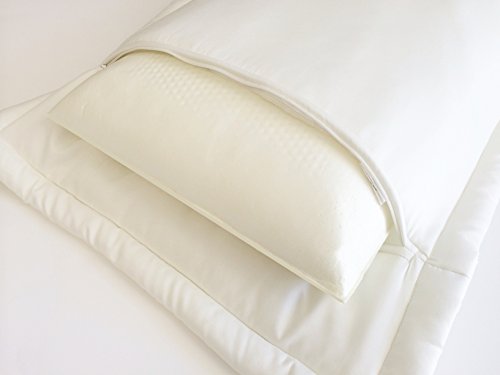 eConsumersUSA Queen Size Solid Luxury Comfort Memory Foam Bed Pillow Plus Cream Color Down Alternative Case