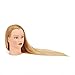 Hairginkgo Mannequin Head 26