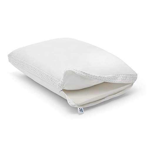 Sealy Essentials Down Alternative & Memory Foam Pillow, Standard/Queen