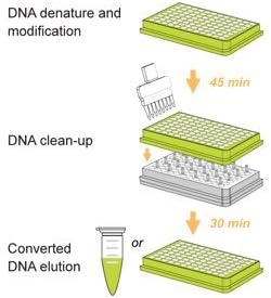 Epigentek - BisulFlash DNA Bisulfite Conversion Mag-96 Kit - 192 reactions