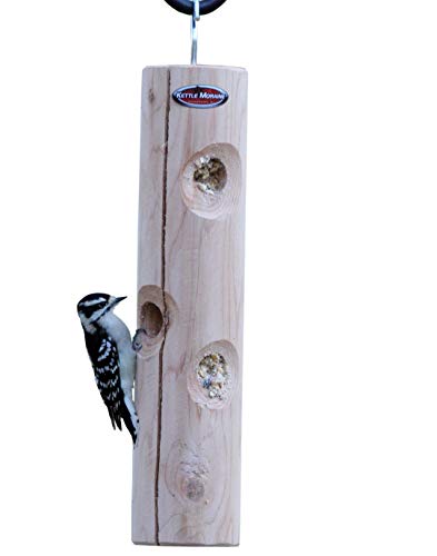 Amazon Com Kettle Moraine Cedar Suet Plug Log Feeder Garden