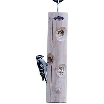 Amazon Com Kettle Moraine Cedar Suet Plug Log Feeder Garden