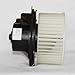 TYC 700191 GMC/Chevrolet Replacement Blower Assembly