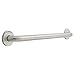 Safety 1st 5724 1-1/4-Inch x 24-Inch Concealed Mount Safety Bath and Shower Grab Bar, Stainless Steel
