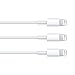 iPad Mini Charger Wire Cable [3 Foot] and for iPhone 7 [Set of 3] 3ft USB 8-Pin Sync / Charge