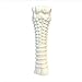 Nylabone Textured Knuckle Bone Power Chew Toy for Dogs, Durable & Tough Dog Toys for Aggressive Chewers, Chicken Flavor, X-Large - 50+ lbs, 1 Count