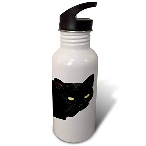 3dRose Taiche - Vector - Black Cat - Photograph Vector of Je