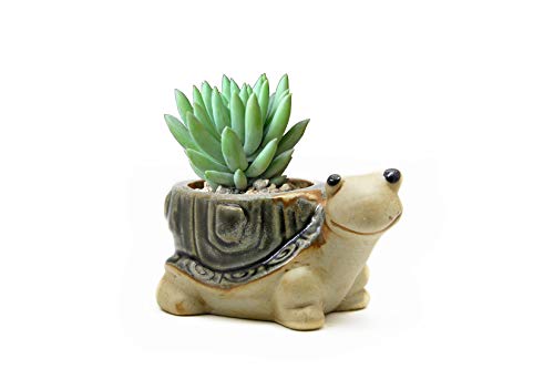 Goldblue Ceramic Home/Garden Flower Planter Pot - Outside Cute Turtle Design