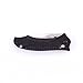 Firebird Knife F710 by Ganzo G710 Pocket Folding Hunting Knife G10 Handle SS Blade