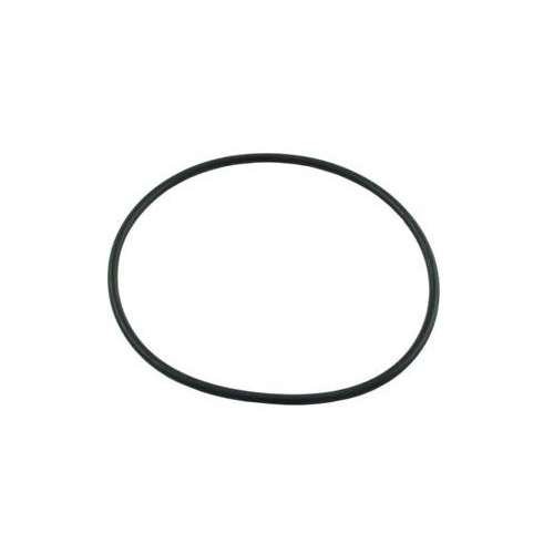 Pentair 2 R172009 Cap O-Ring Replacements Rainbow 300/320 Pool Chlorinator Lid