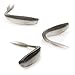 RUNCL Anchor Box - Soft Jerk Baits, Baitfish with Split Tail Flat Nose, Jerk Minnow, Soft Fishing Lures 2-3/4in (Pack of 50)