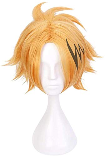 denki kaminari wig