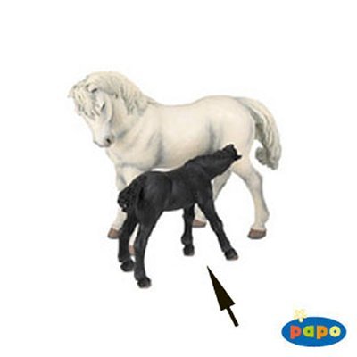 schleich lipizzaner foal