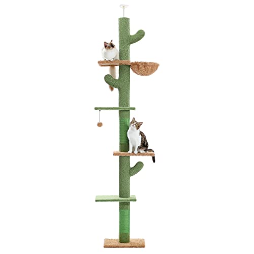 PAWZ Road Cactus Cat Tree