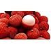 Lychee Seeds 5 Seeds/pack