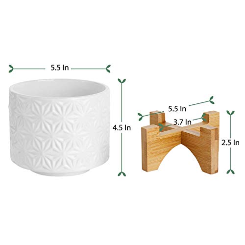 Greenaholics Medium Plant Pot - 5.5 Inch Cylinder White Ceramic Planter with Arched Bamboo Stand, for Small Herb, Snake Plant Seedling